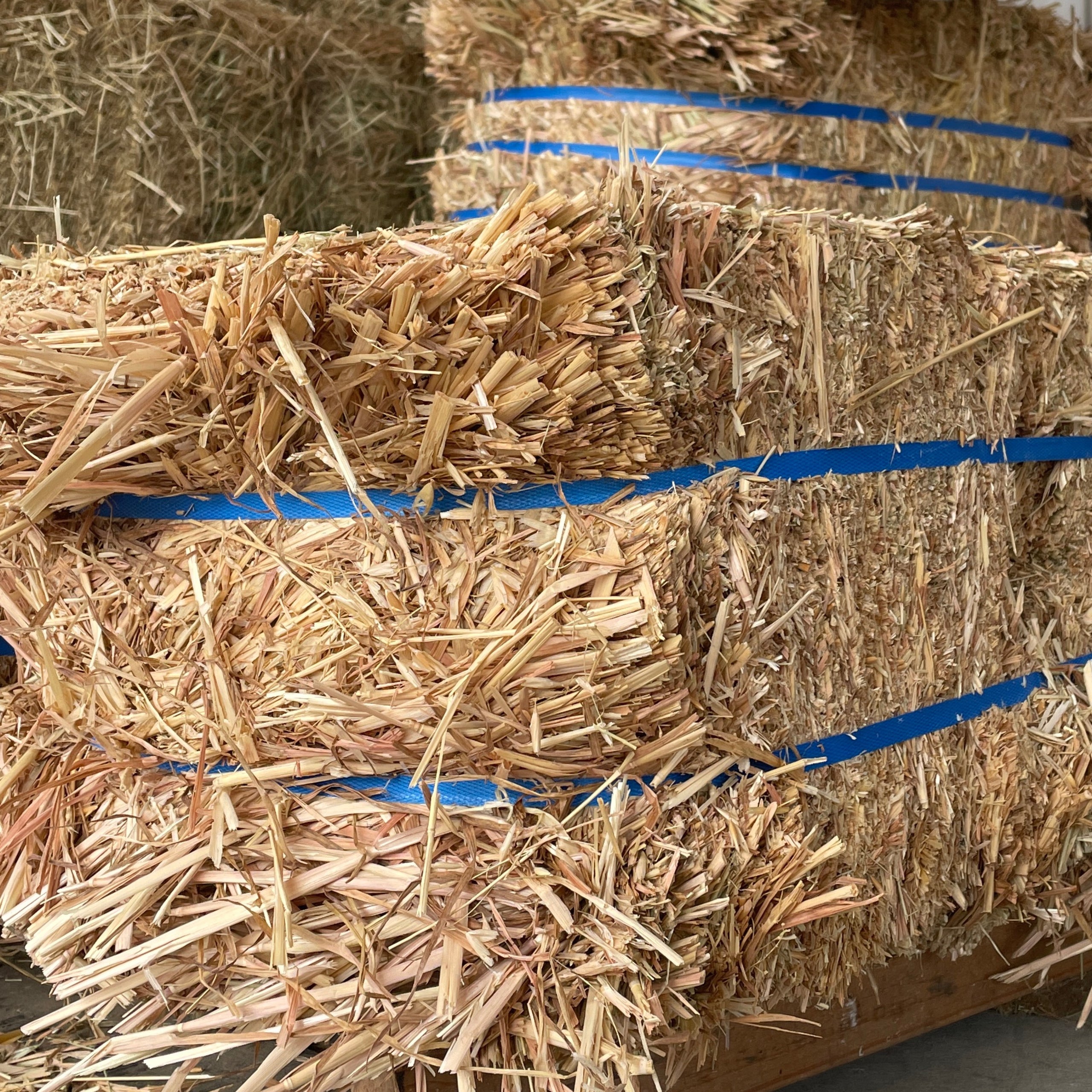 Hay - Compressed Oaten | Yarramalong Farm Supplies